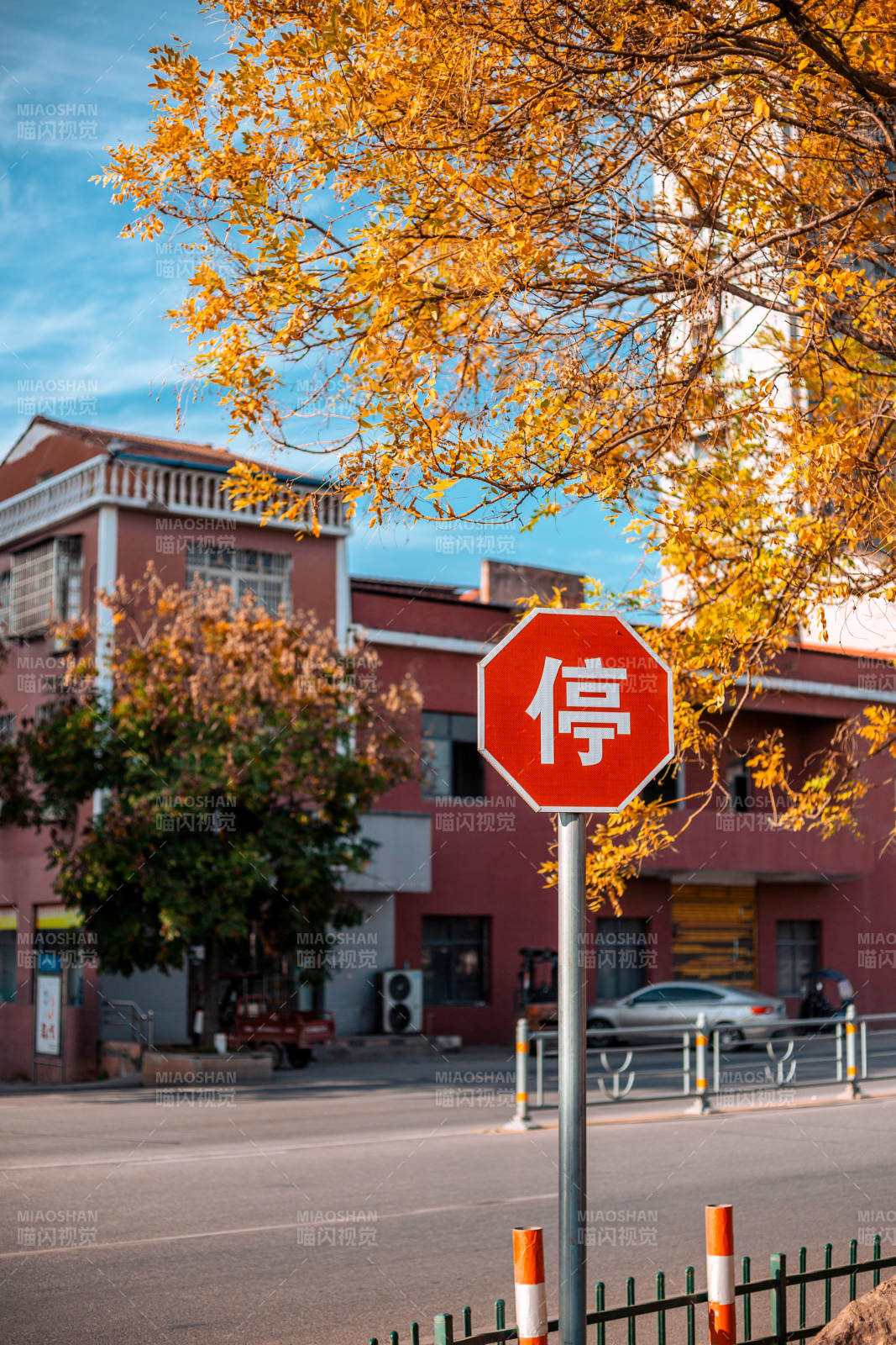 秋日停驻街景