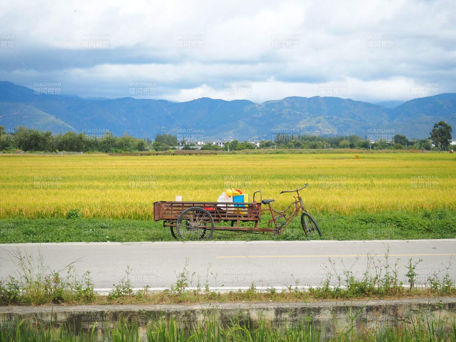 田园风光 车行田间