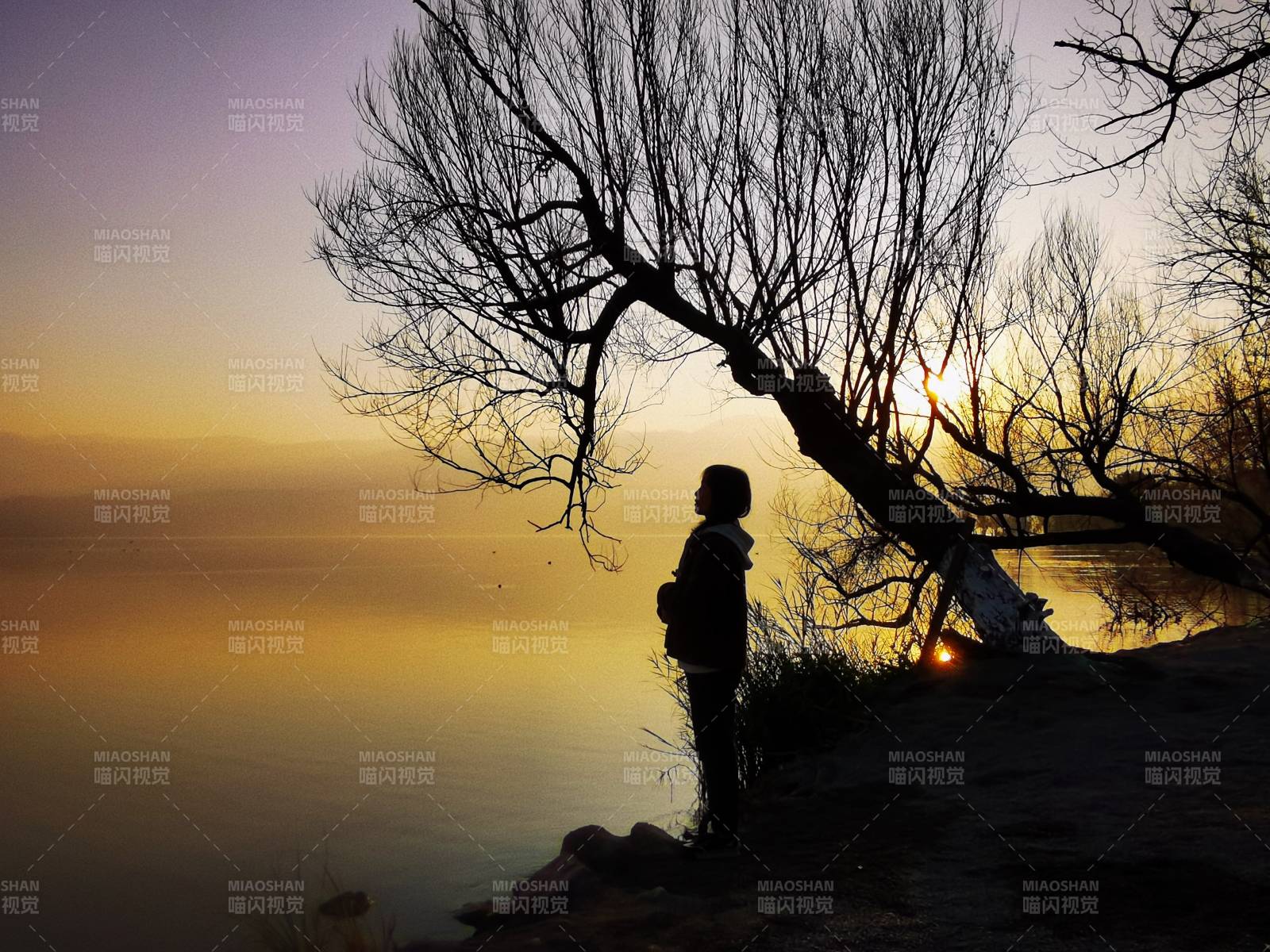 湖畔剪影黃昏時