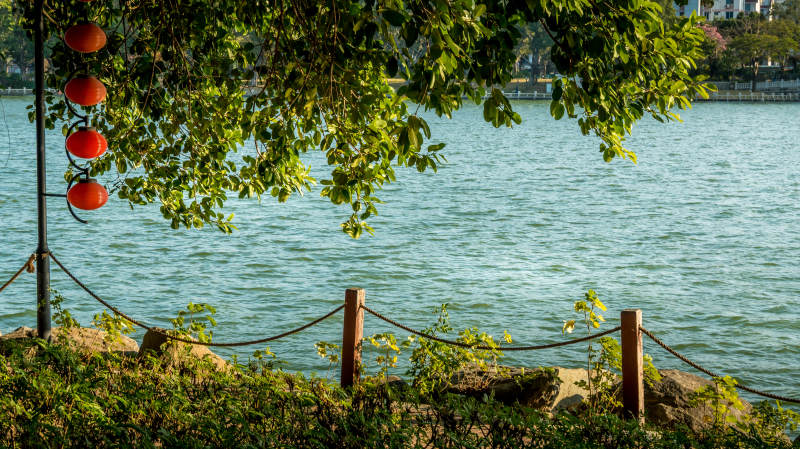 湖畔绿荫红灯笼