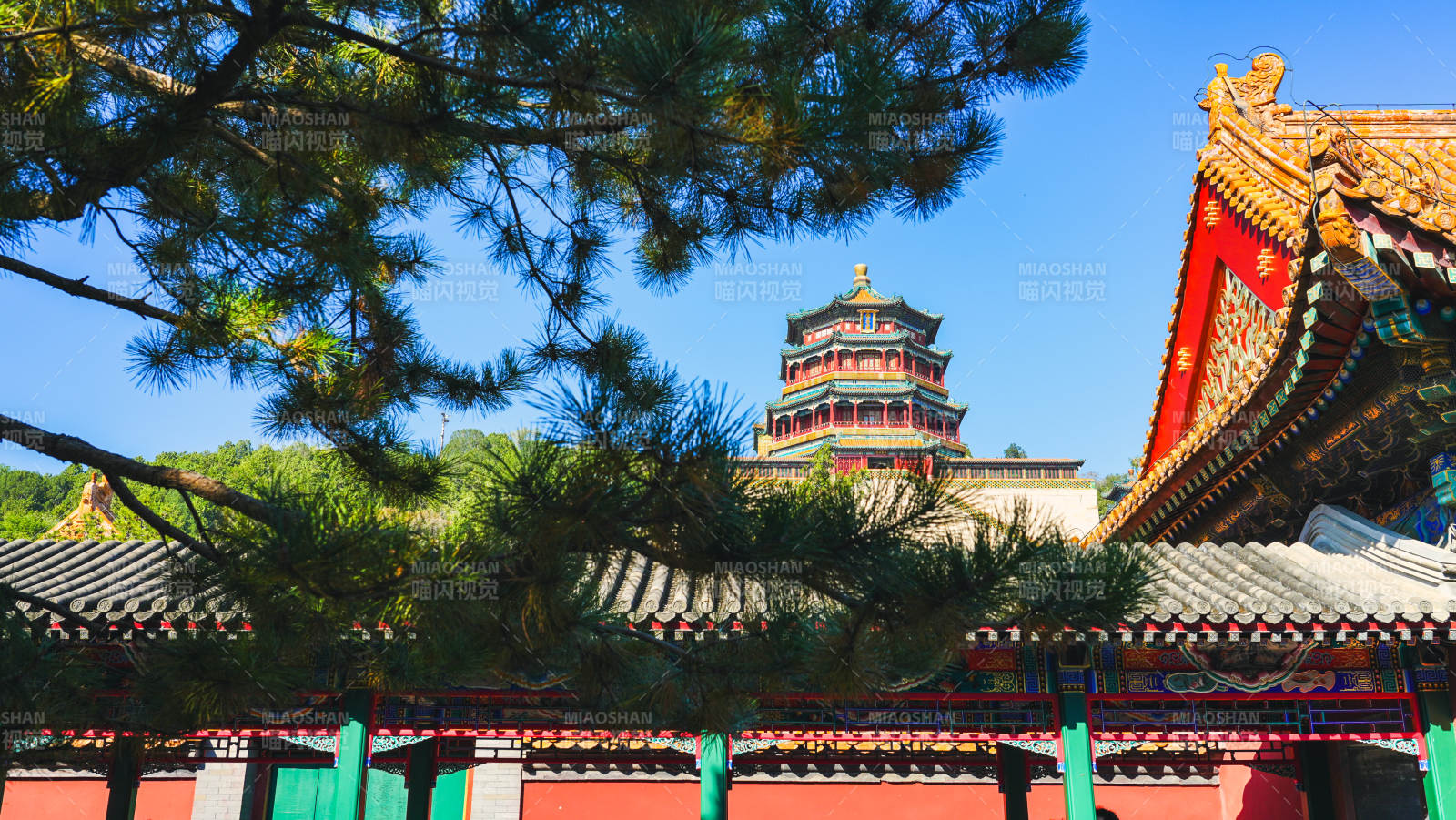 頤和園佛香閣古建筑與松樹相映