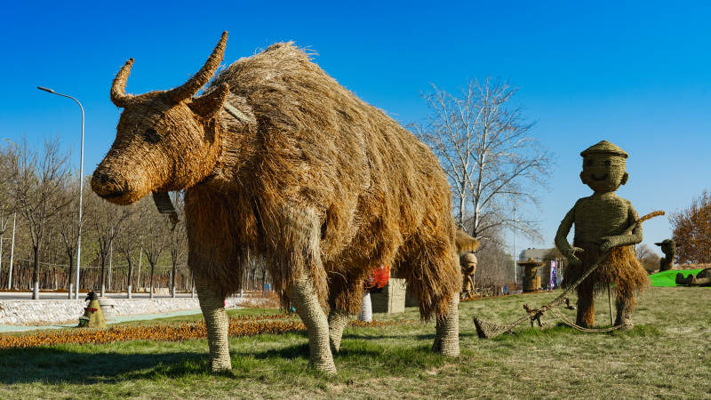 草编牛与牧童雕塑