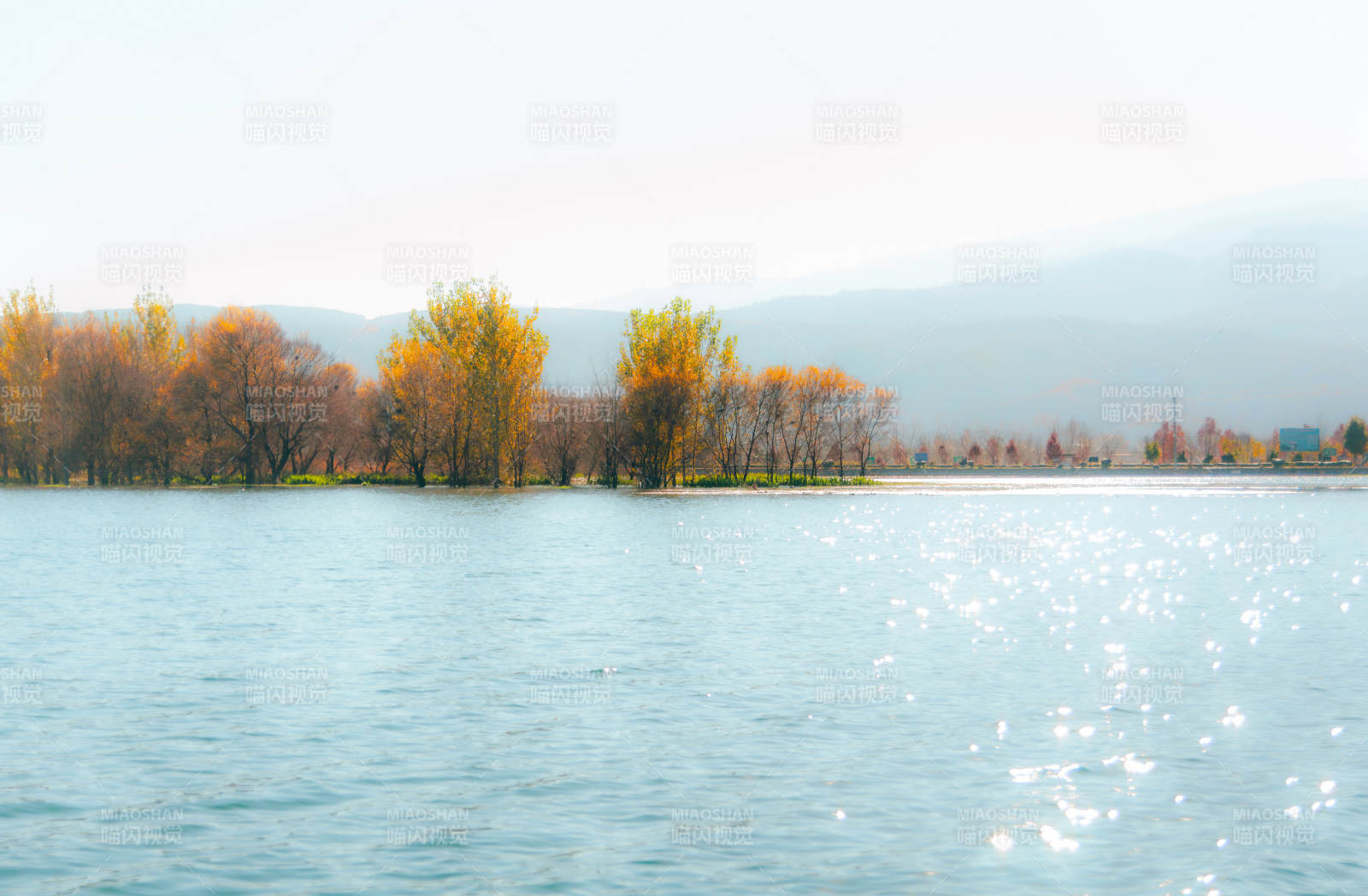 湖光山色樹影微波粼粼印象茈碧湖