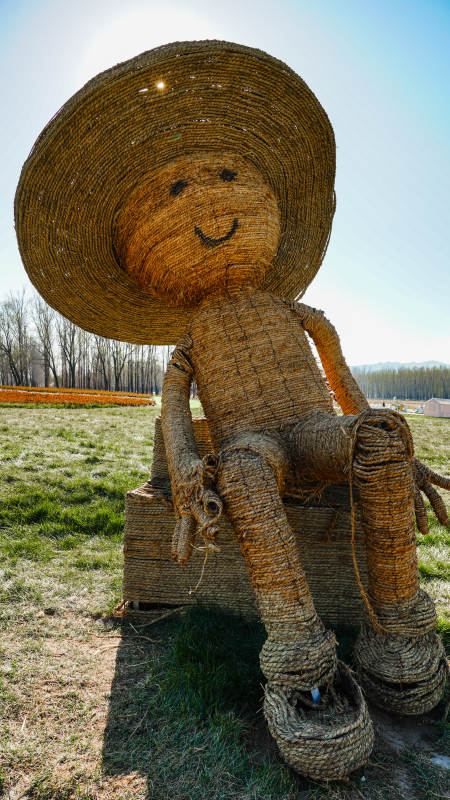 草编人偶坐椅上