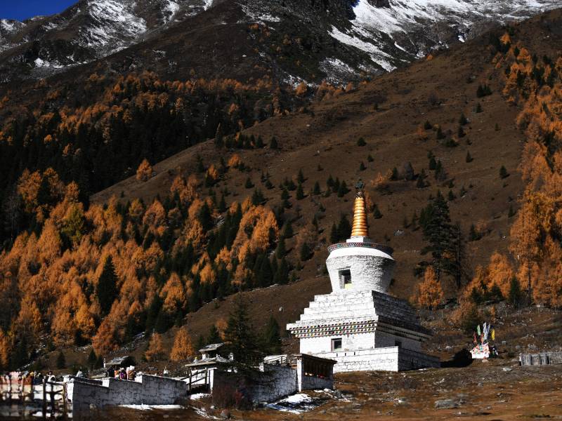 雪山秋林白塔