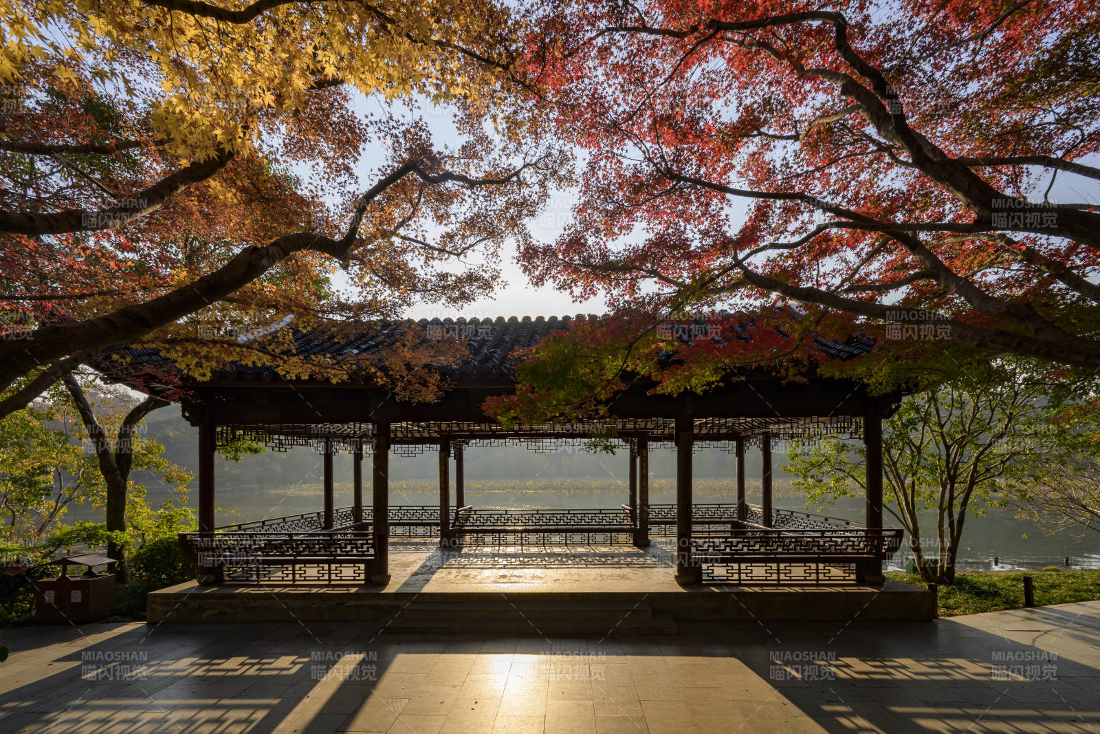 杭州秋色亭影