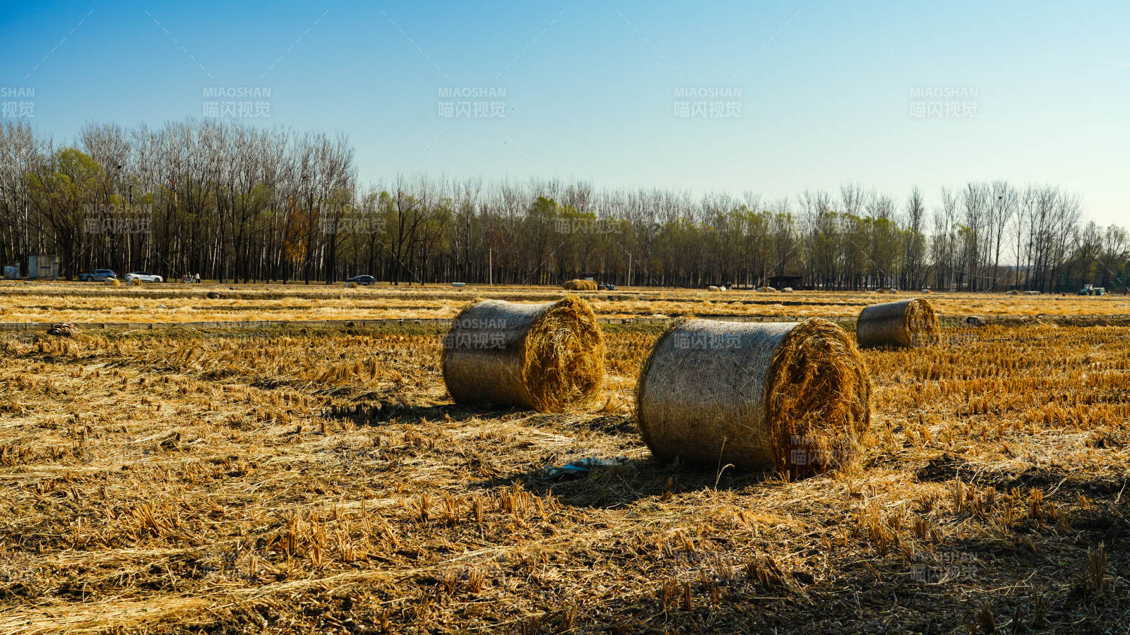 金秋田野草垛圖