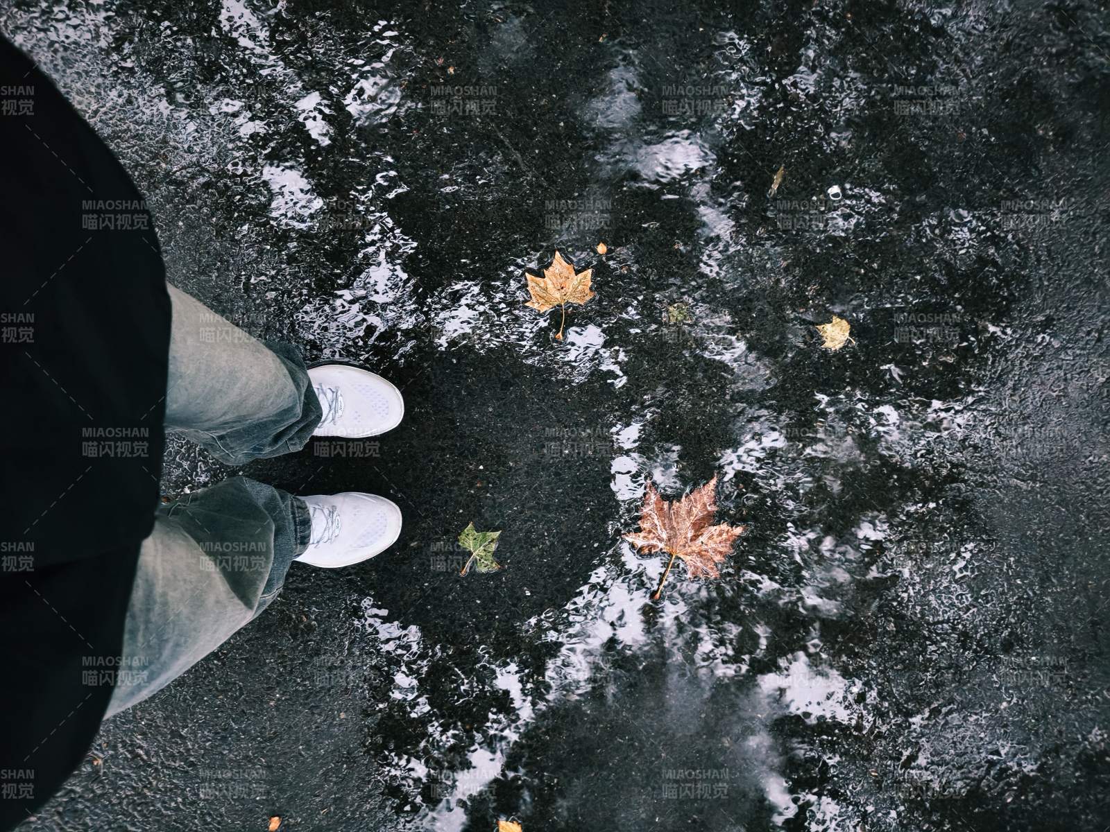 秋叶落雨 步履轻移