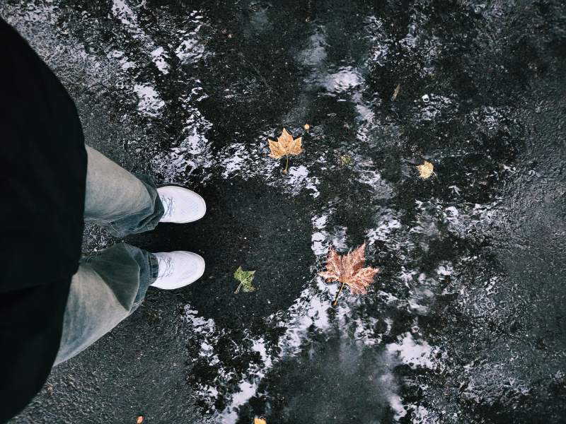 秋葉落雨 步履輕移