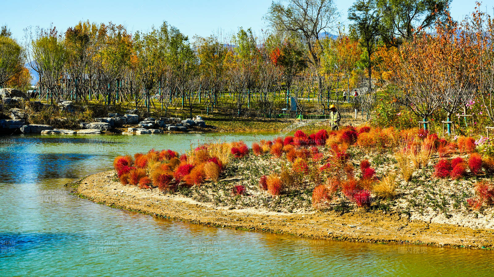 玉河濕地公園秋湖花影