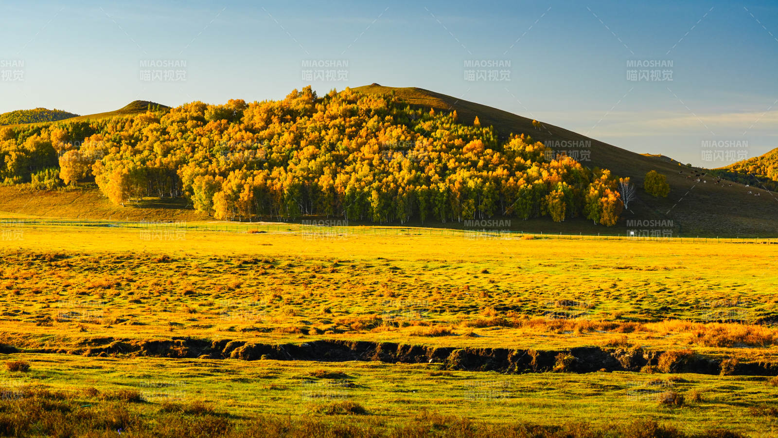 烏蘭布統(tǒng)秋日草原風(fēng)光