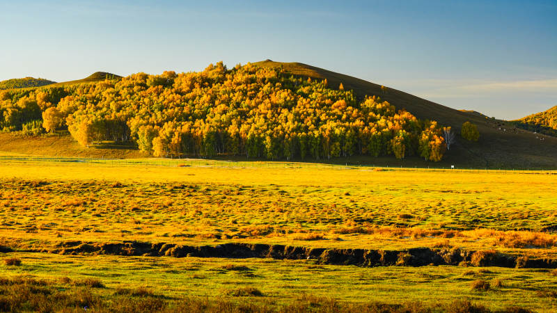 乌兰布统秋日草原风光