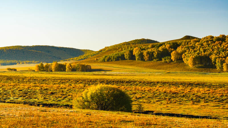 乌兰布统秋日草原风光