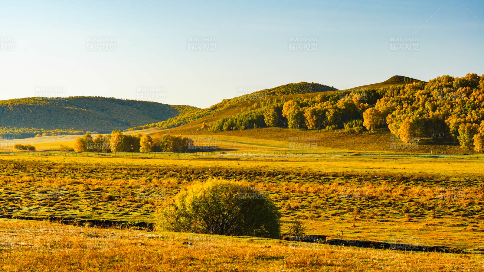 烏蘭布統秋日草原風光