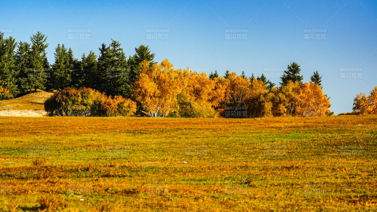 烏蘭布統(tǒng)秋日田野風光