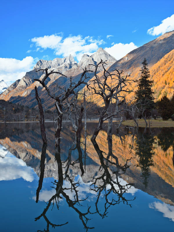 秋山倒影靜湖中