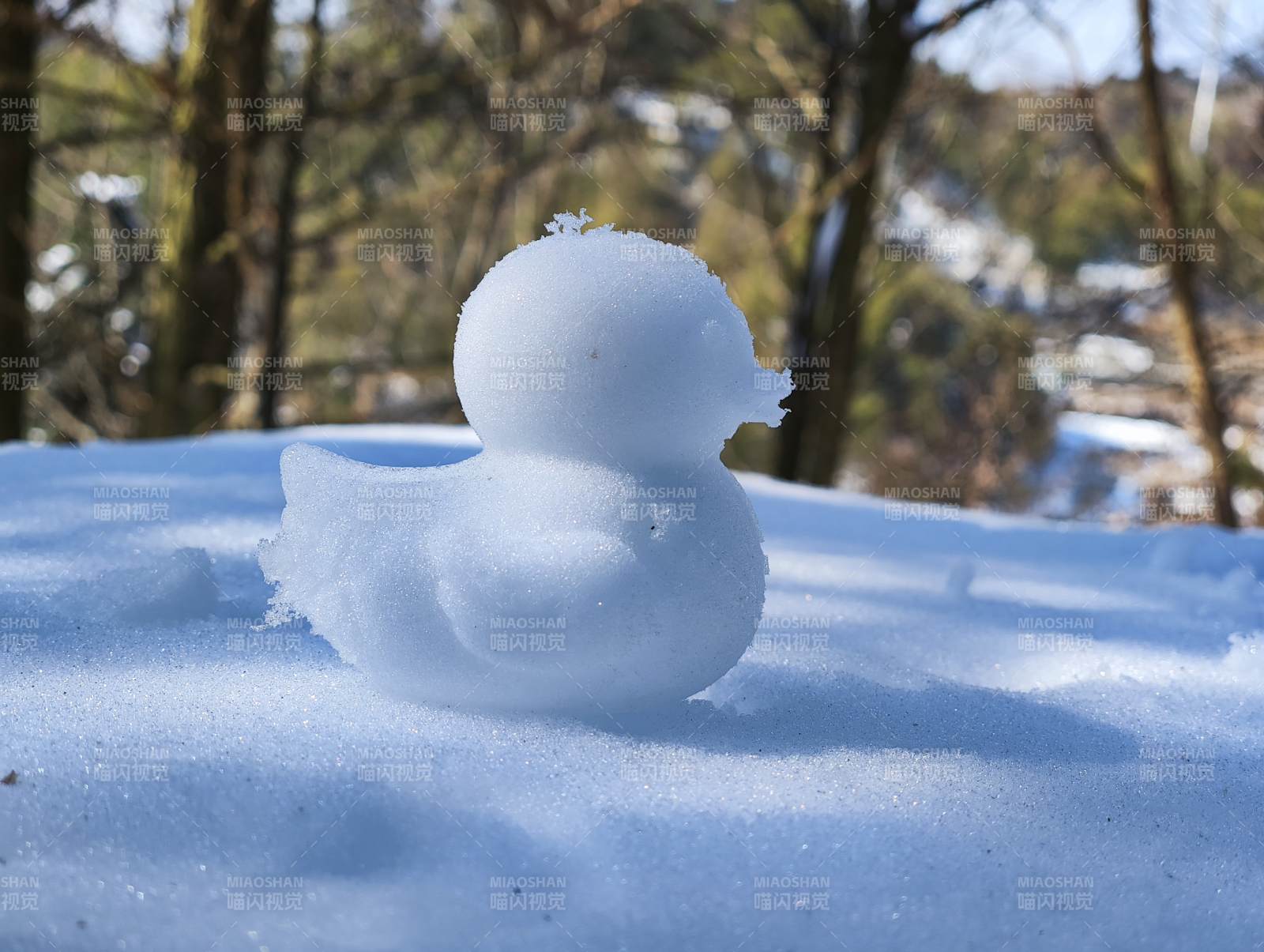 雪地里的小鴨子