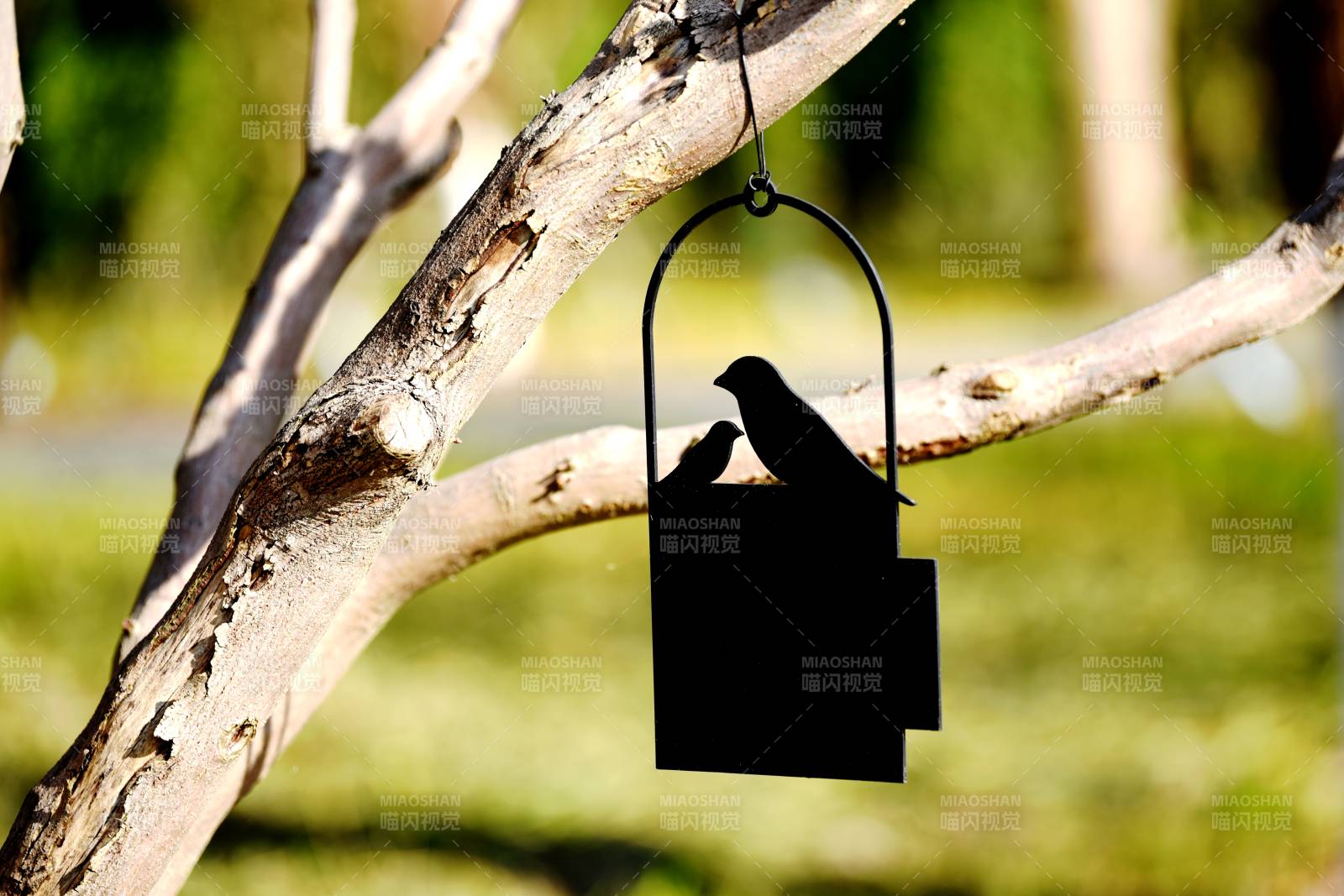 公园里爱鸟标识挂枝头-摄影图