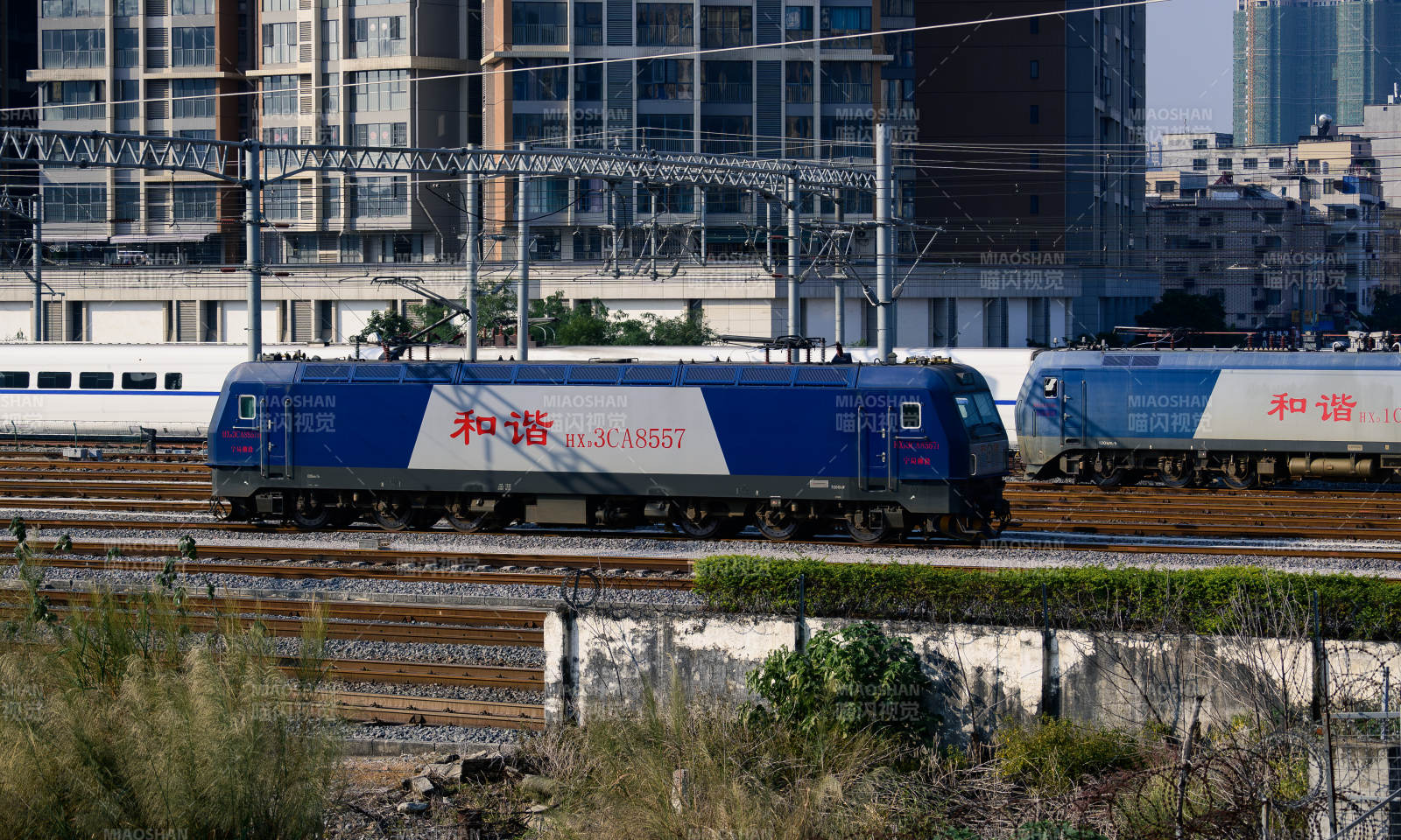 和谐号电型机车-摄影图