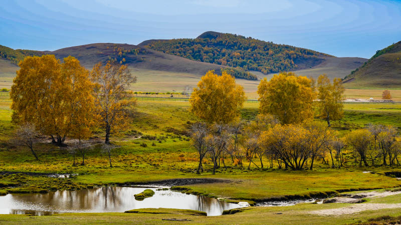 乌兰布统秋日草原风光