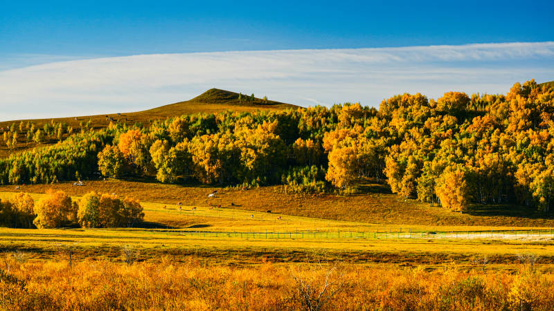 烏蘭布統(tǒng)秋日草原風(fēng)光