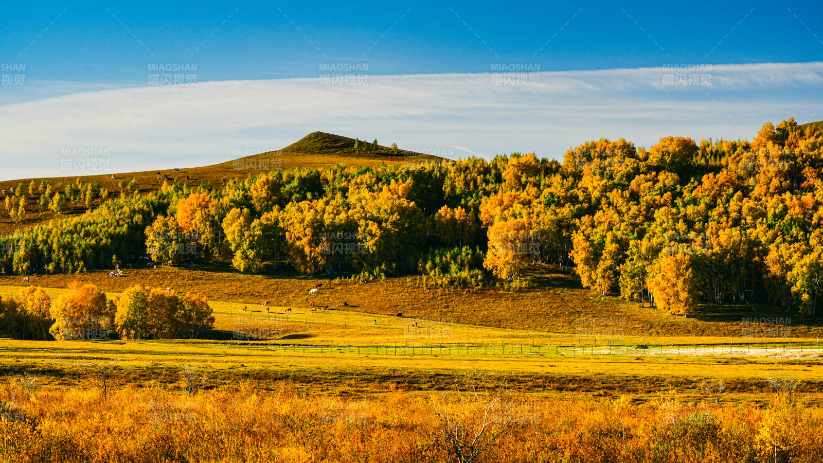 烏蘭布統秋日草原風光