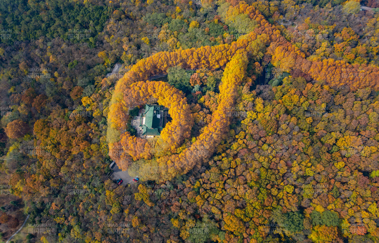 南京秋林環繞古亭