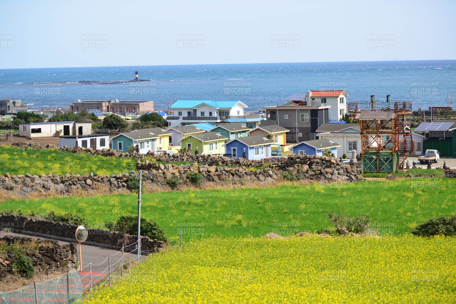 韩国济州岛海边彩色小屋与花田-摄影图