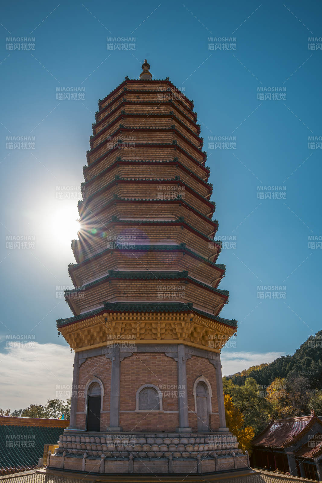 佛牙舍利塔映日輝