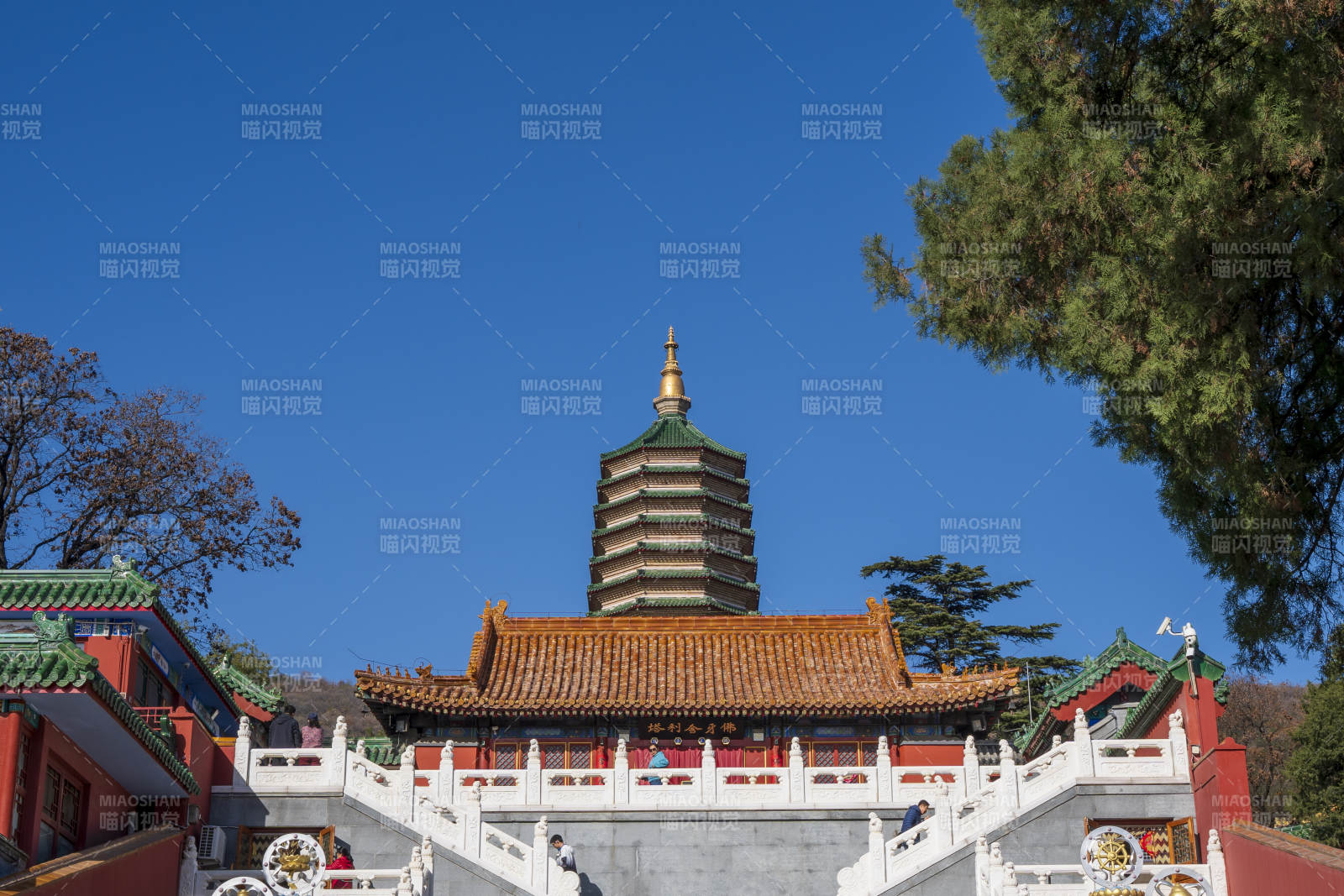 八大處靈光寺佛牙舍利塔映藍天