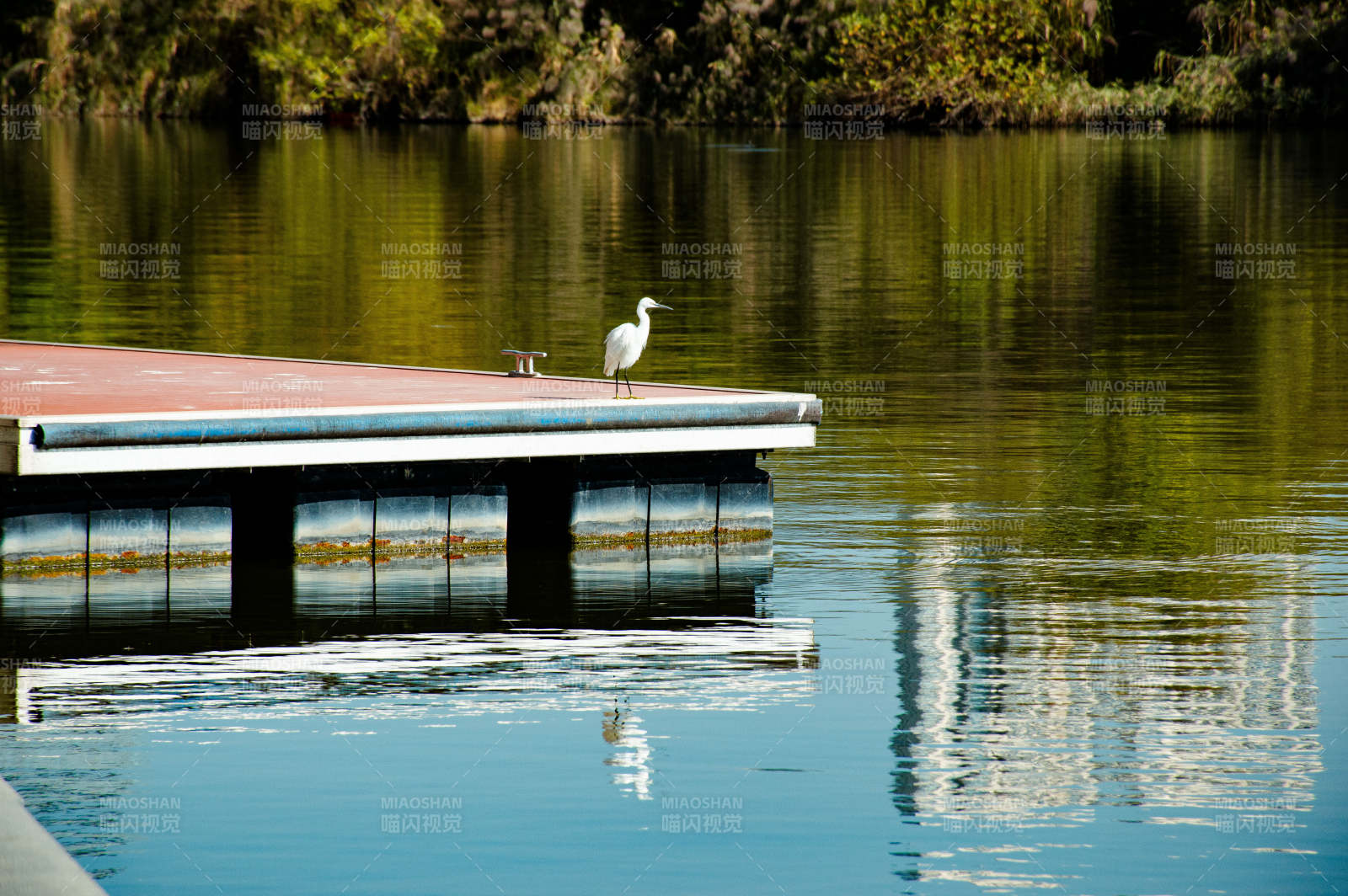 廈門(mén)圓月公園