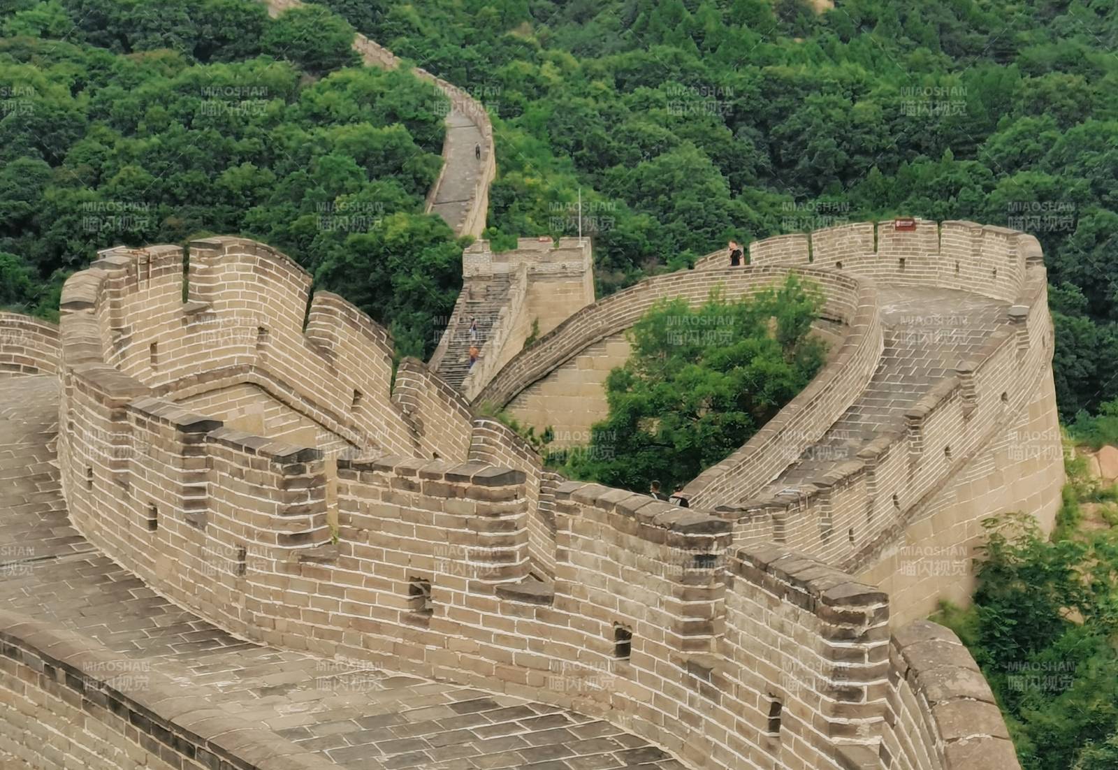 長城蜿蜒入林間