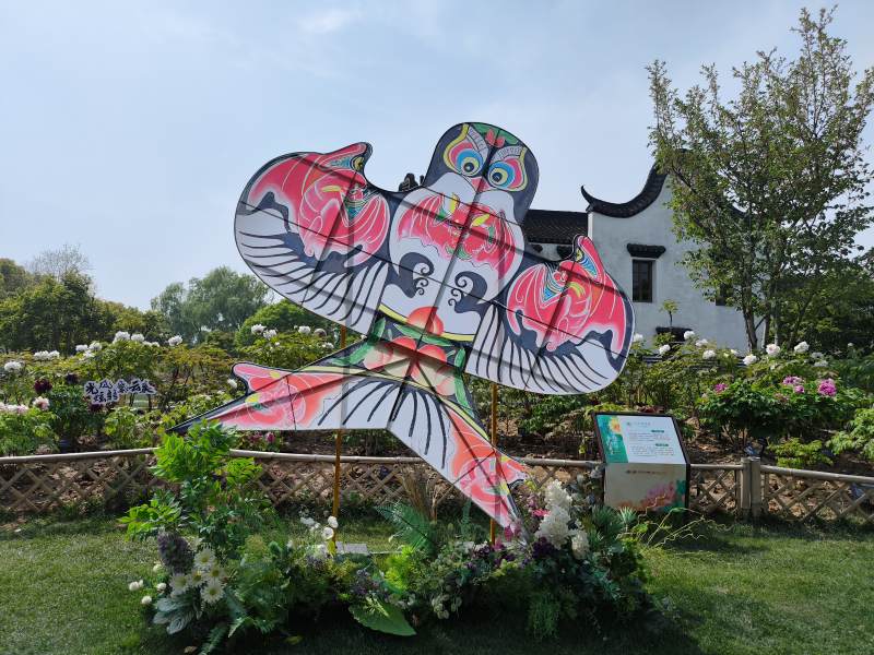 彩繪貓頭鷹風箏-攝影圖