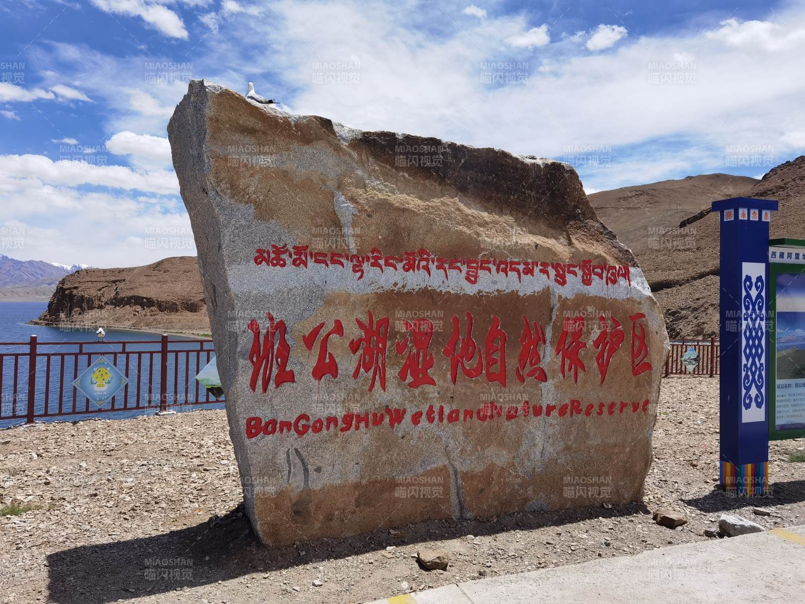 班公湖濕地保護區-攝影圖