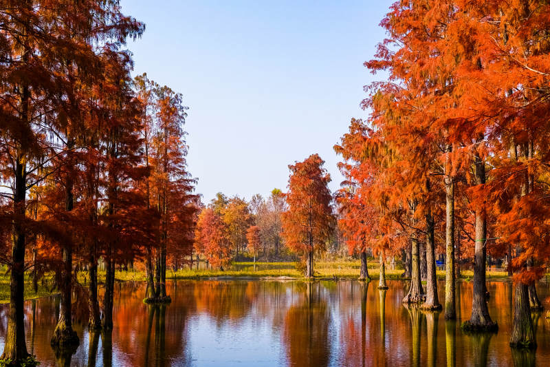 秋色湖光-摄影图