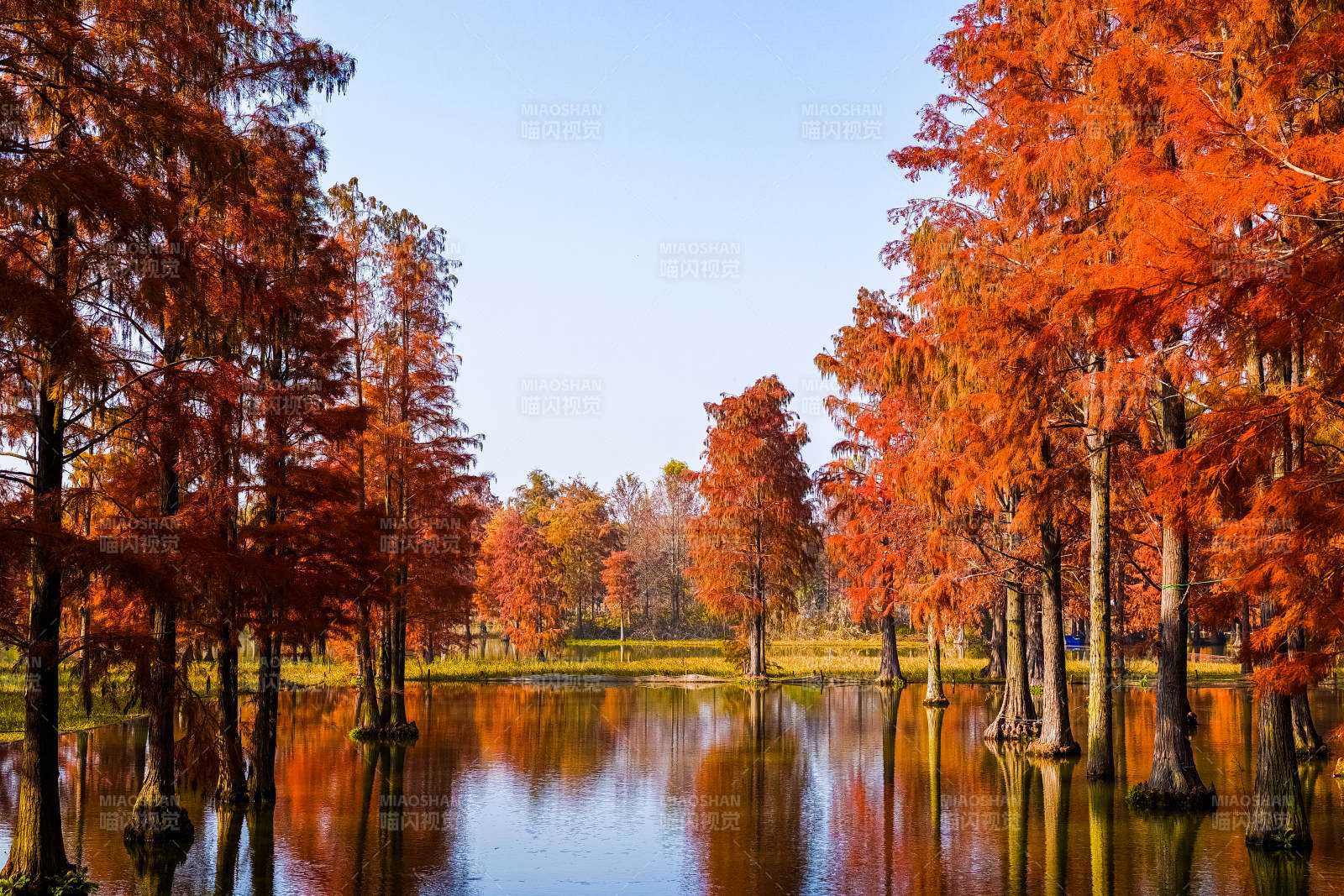 上海·青西郊野公园-摄影图