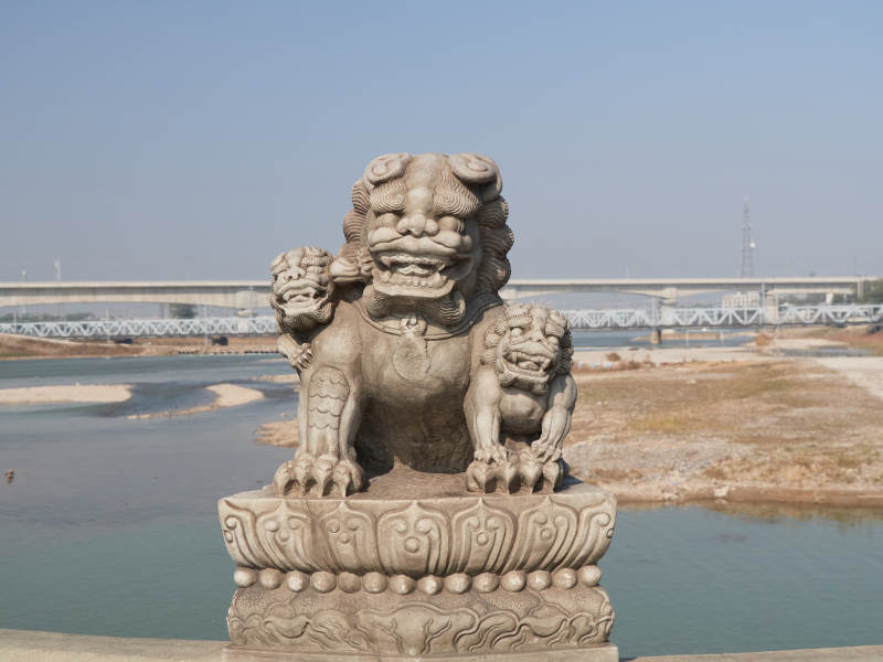北京市丰台区卢沟桥上石狮特写-摄影图