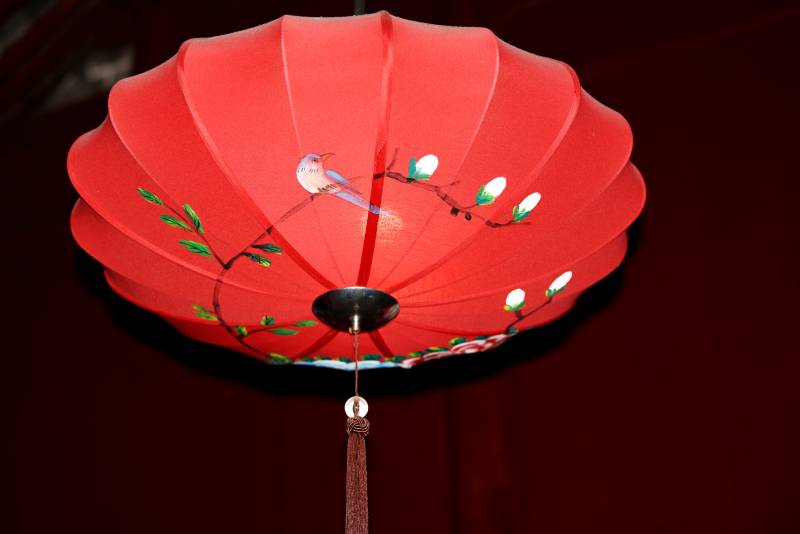 红灯笼绘鸟枝-摄影图