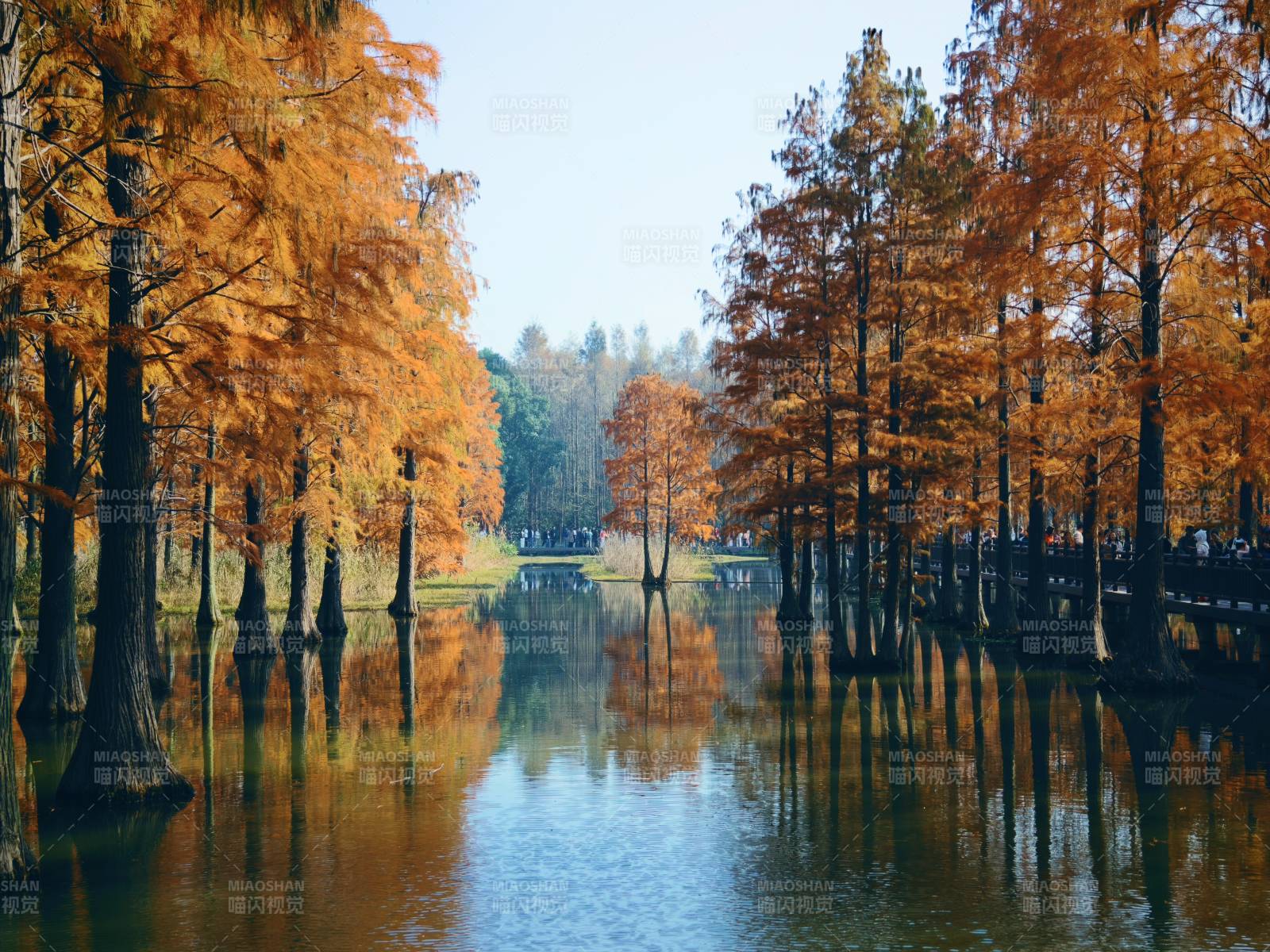 上海·青西郊野公园-摄影图