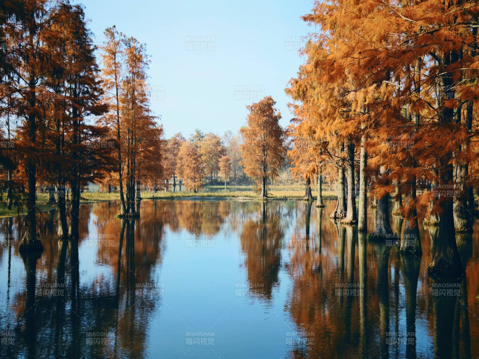 上海·青西郊野公园-摄影图