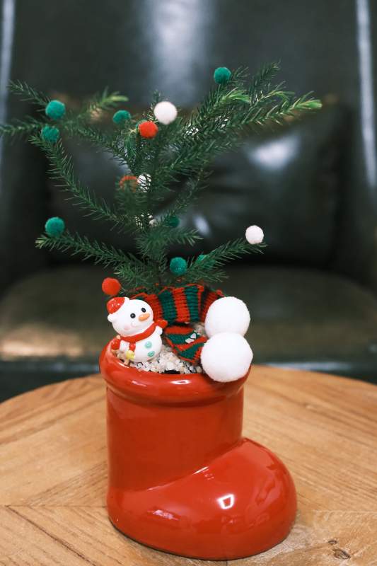 圣诞袜盆栽-摄影图