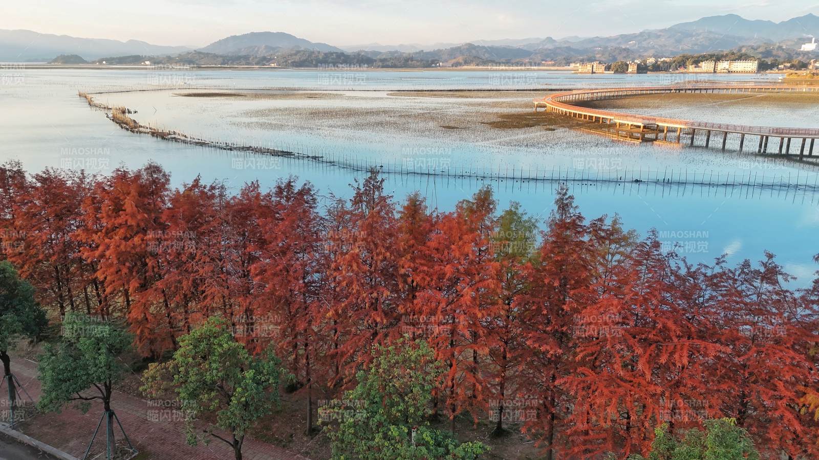 秋色湖畔红叶映水（江边村）-摄影图