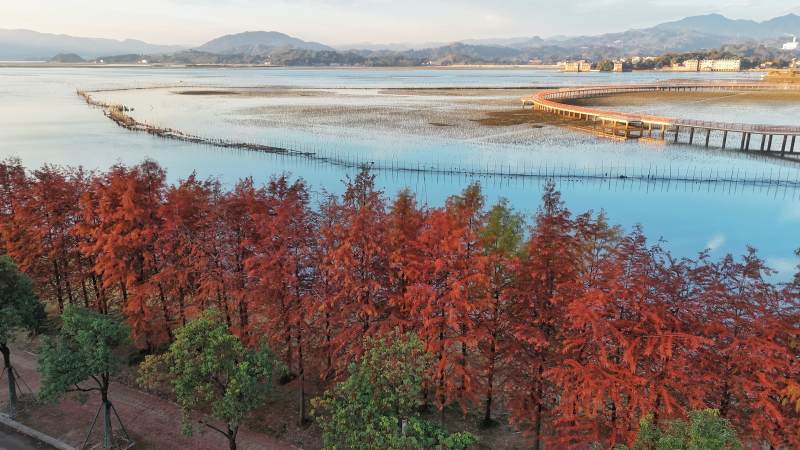 秋色湖畔红叶映水（江边村）-摄影图