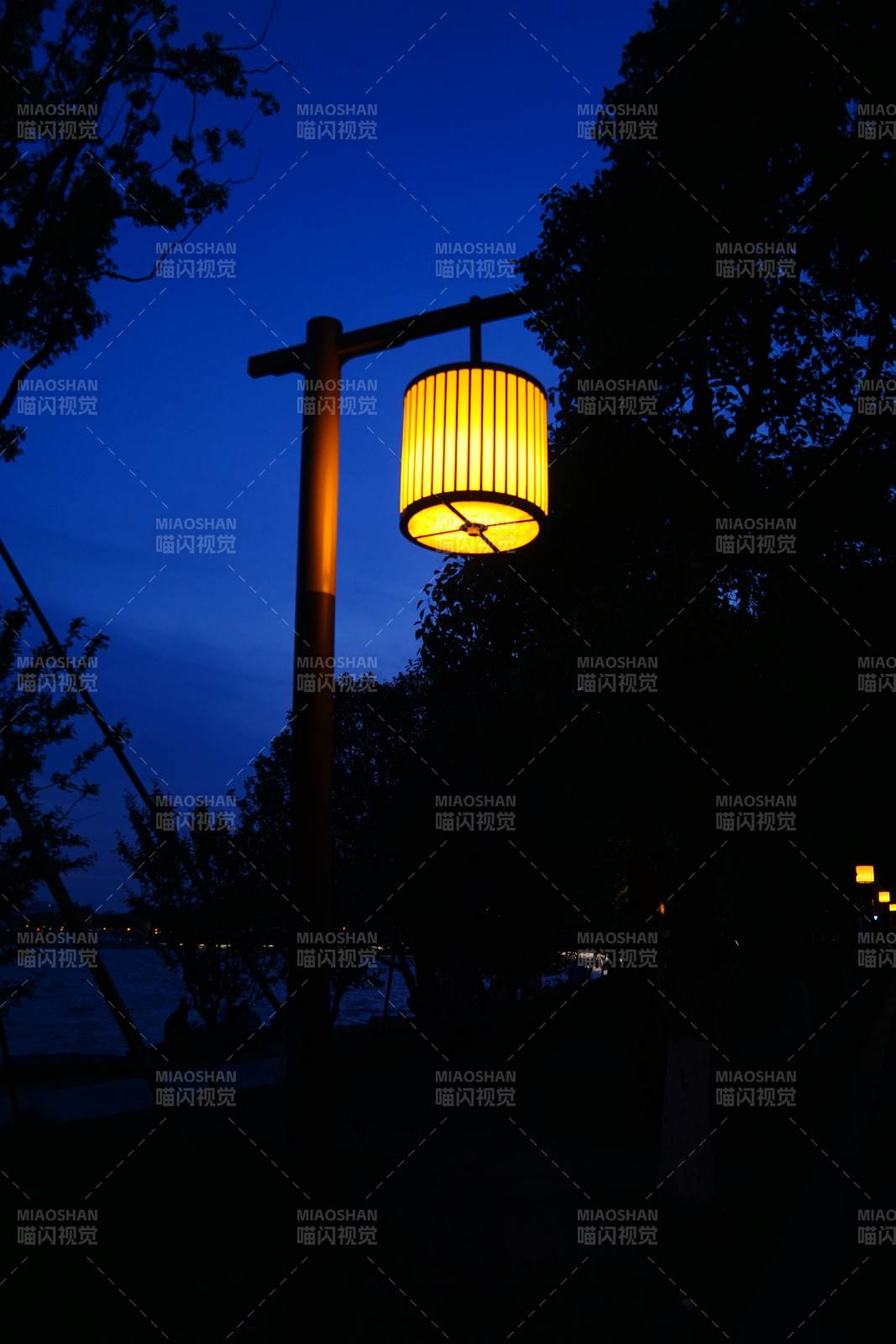 夜灯映树影-摄影图