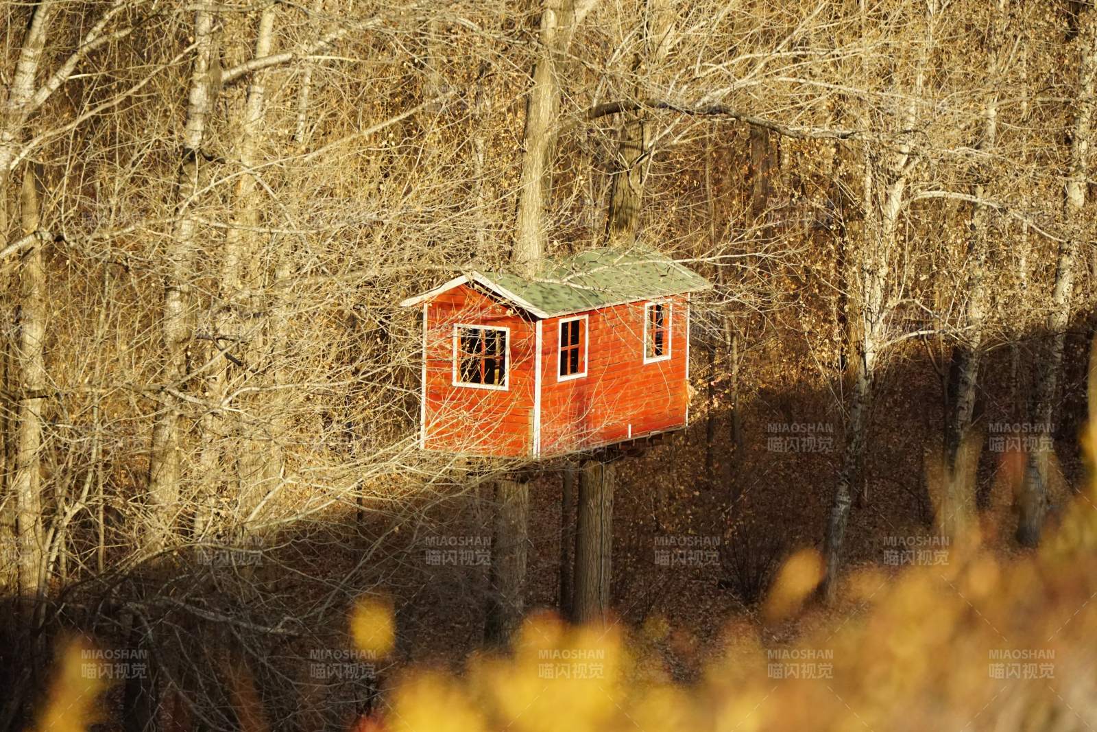 林间红屋-摄影图