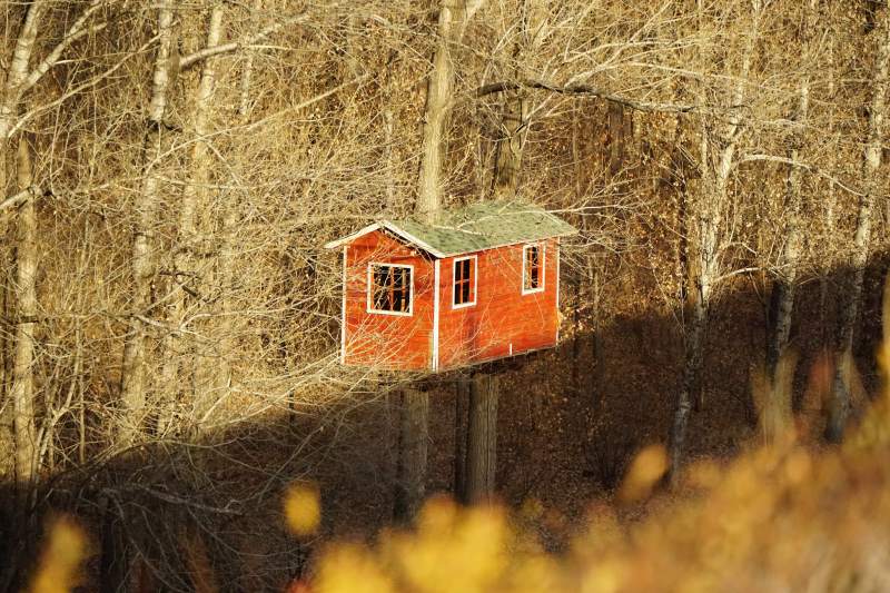 林间红屋-摄影图