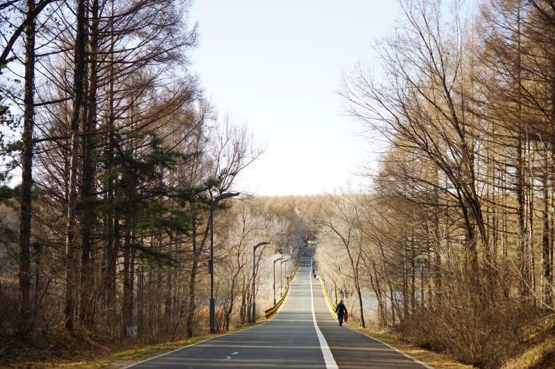 林间小径行者远-摄影图