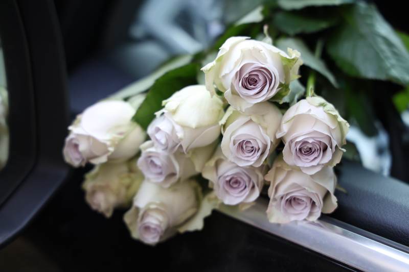 白玫瑰花束-摄影图