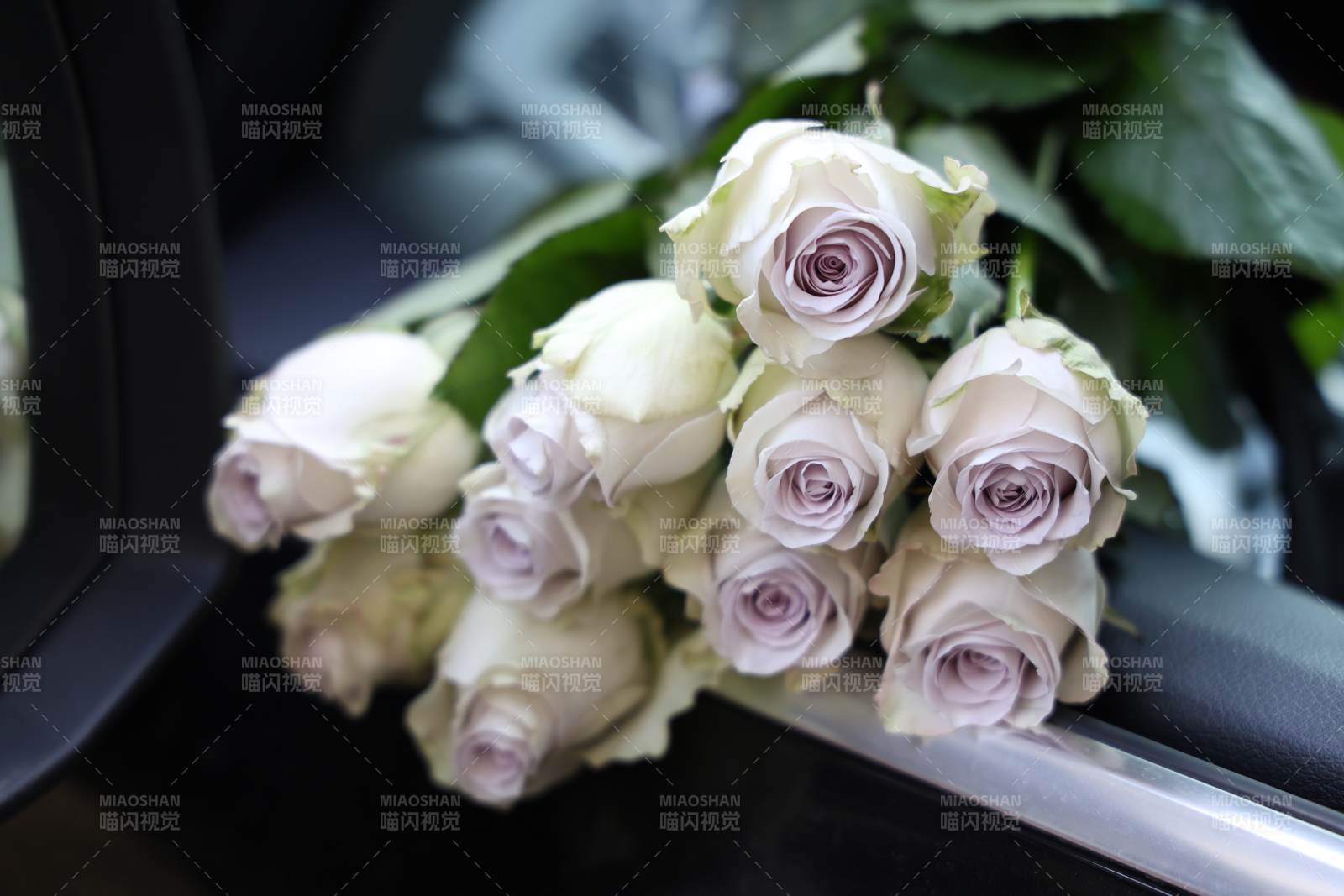 白玫瑰花束-摄影图