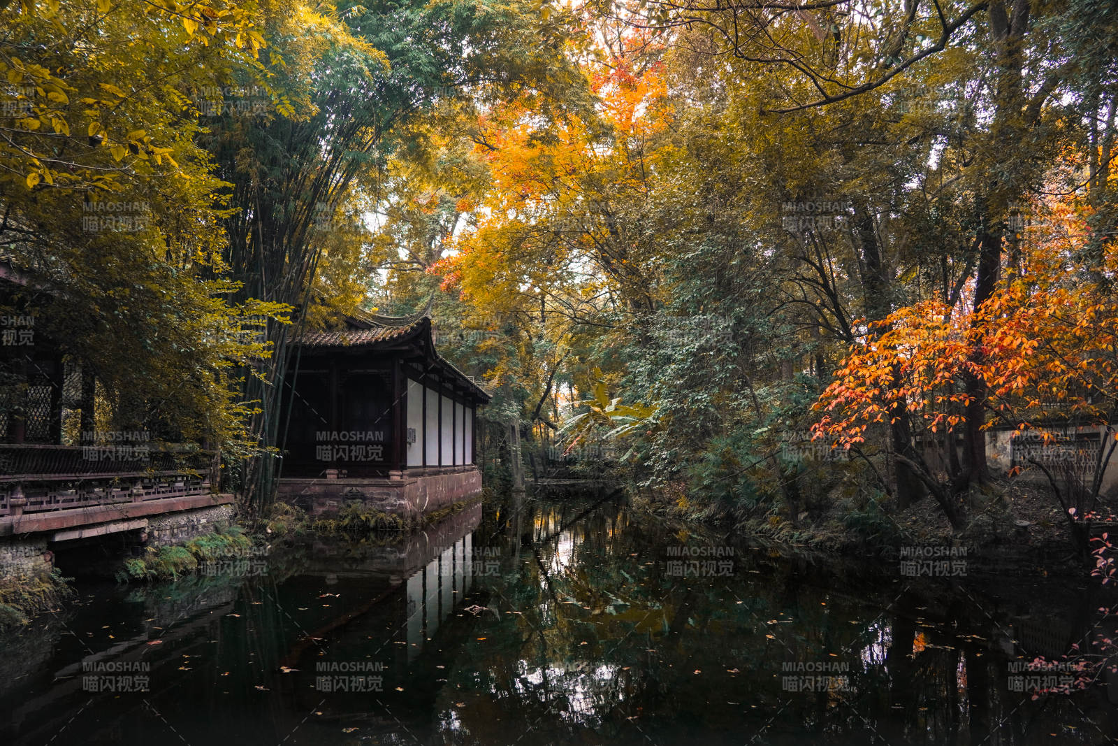 秋林水榭静谧景-摄影图